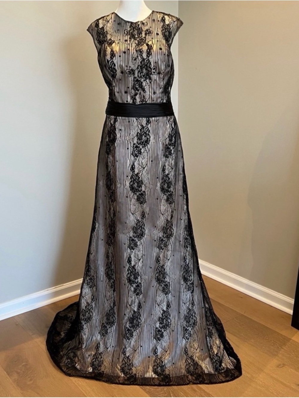 ALYCE PARIS BLACK
Lace Embroidery
Evening Gown Size 12